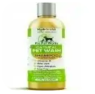 7 Best Shampoo for Husky Puppy (Buying Guide) Best Shampoo for Husky Puppy