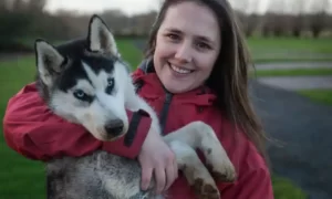 Why Your Husky Puppy Follows You Everywhere: Top 5 Reasons Husky Puppy