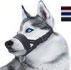 Best 5 Muzzles For Your Husky - Greatest Picks! muzzles