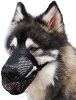 Best 5 Muzzles For Your Husky - Greatest Picks! muzzles