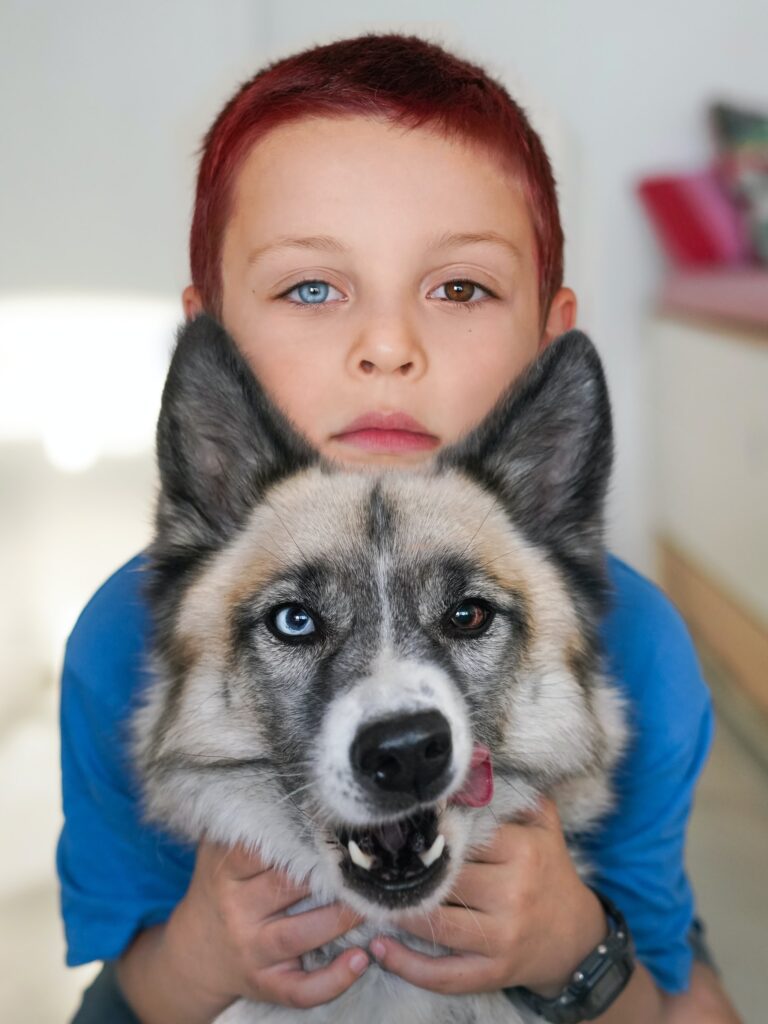 Huskies Have Heterochromia
