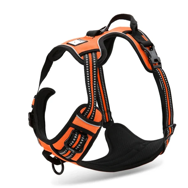 Chai’s Choice Outdoor Adventure Harness