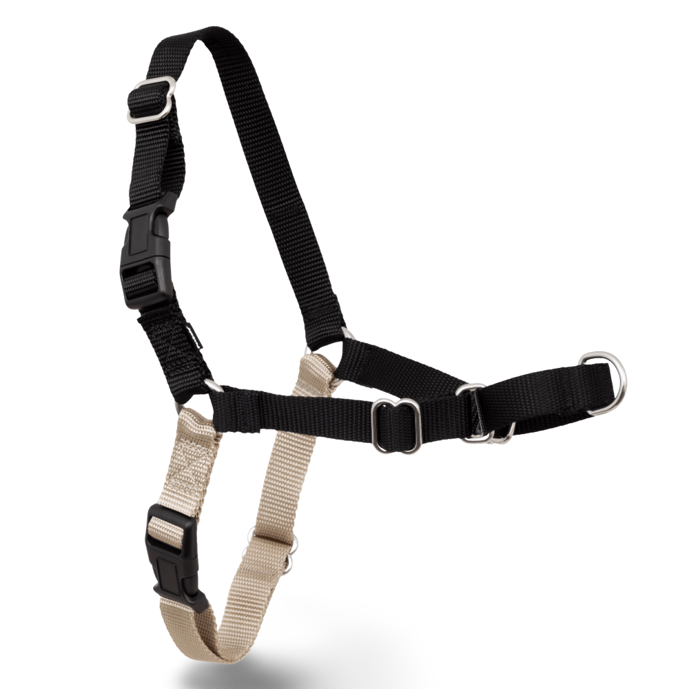 PetSafe Easy Walk Dog Harness